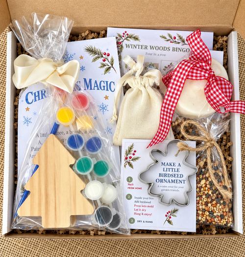 Winter Woodland Activity Box